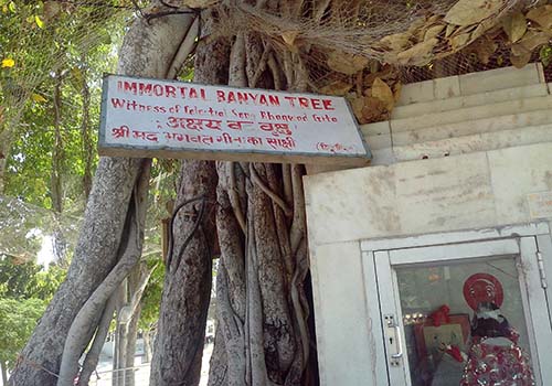 Akshaya Vat